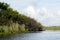 Everglades Mangroves