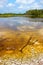 Everglades National Park Eco Pond