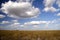 Everglades Panorama