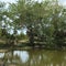 Everglades Swam Lands In Everglades Florida