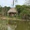 Everglades Swam Lands In Everglades Florida