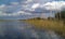 Everglades swamp panorama