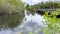 The Everglades with their wetlands are a popular landmark in Florida