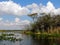 Everglades Tree Island