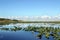 Everglades Wetland