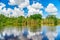 Everglades wetland in Florida, Everglades and Francis S. Taylor Wildlife Management Area