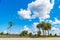 Everglades wetland in Florida, Everglades and Francis S. Taylor Wildlife Management Area