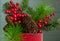 Evergreen and Berries Christmas Decoration, Close Centered