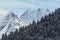 Evergreen coniferous forests covered with snow against the background of the beautiful peaks of the Caucasus Mountains on a sunny