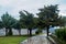 Evergreen conifers and a wet path in the park after the rain against the backdrop of mountains and overcast sky