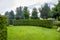 Evergreen curved thuja hedge in a garden.