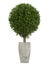 Evergreen cypress topiary tree