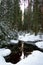 Evergreen forest after a major snowfall. Winter fairytale. Small water pond in the forest. Trees covered in snow