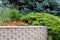 Evergreen Landscape Design