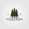 Evergreen logo vintage illustration design, pine trees logo