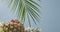 Evergreen palm leaves with natural exotic fruits composition on a wooden table on a blue background. Vertical panoramic