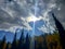 Evergreen pine and aspen trees changing color in the high mountains with sun beams shining down