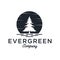 Evergreen / Pine tree Logo design inspiration - Vector