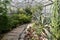 Evergreen plants and cactus in botanical garden orangery. Glasshouse with exotic desert plants grow