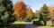 Evergreen plants in the park English style garden. Autumn garden.