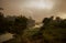 Evergreen rainforest mountains captured during an early foggy morning at Kaziranga National Park, Assam, Northeast, India.