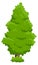 Evergreen tree. Green conifer icon. Cartoon plant