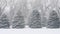 Evergreen Trees in Snowstorm