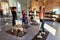 Every day is a workout. Full-length shot of female trainer warming up, exercising with teens, boys and girls in gym