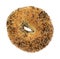 Every seasoning bagel on a white background