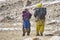 Every year during the summer-autumn, women and children climb up the Upper Shimshal 5600m to raise animals in the only areas wit