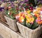 Everyday flowers counter with variety of fresh cut flowers such as persian buttercups, anemone coronaria, sea lavender