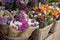 Everyday flowers counter with variety of fresh cut flowers such as statice salem or limonium sinuatum, anemone coronaria