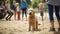 Everyone loves the fun of a dog park full of playful pets with their friends and families. Generative AI