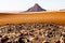 Everything flows. - Sahara landscape with Sand anf rocks formed by the wind