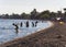 Evia Island, Greece. July 2019: Tourists and vacationers swim in the Aegean sea and relax on the beach on a summer day on a Greek