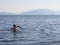 Evia Island, Greece. July 2019: Tourists and vacationers swim in the Aegean sea and relax on the beach on a summer day on a Greek