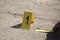 Evidence marker and ruler scale of evidence with law enforcemen