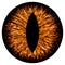 Evil animal eye iris macro illustration