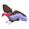 Evil bird icon isometric vector. Vulture animal