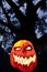 Evil Pumpkin - Jack O Lantern