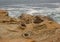 Evocative rock formations on the coast