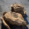 Evocative rock formations in desert