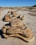 Evocative rock formations in desert