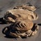 Evocative rock formations in desert