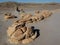 Evocative rock formations in desert