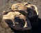 Evocative rock formations in desert