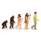 Evolution ape to man process and related concepts.