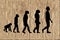 Evolution theory on old paper