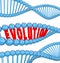 Evolution Word Letters DNA Strand Family Ancestors Genes