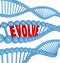 Evolve DNA Word Improve Enhance Get Better Growth